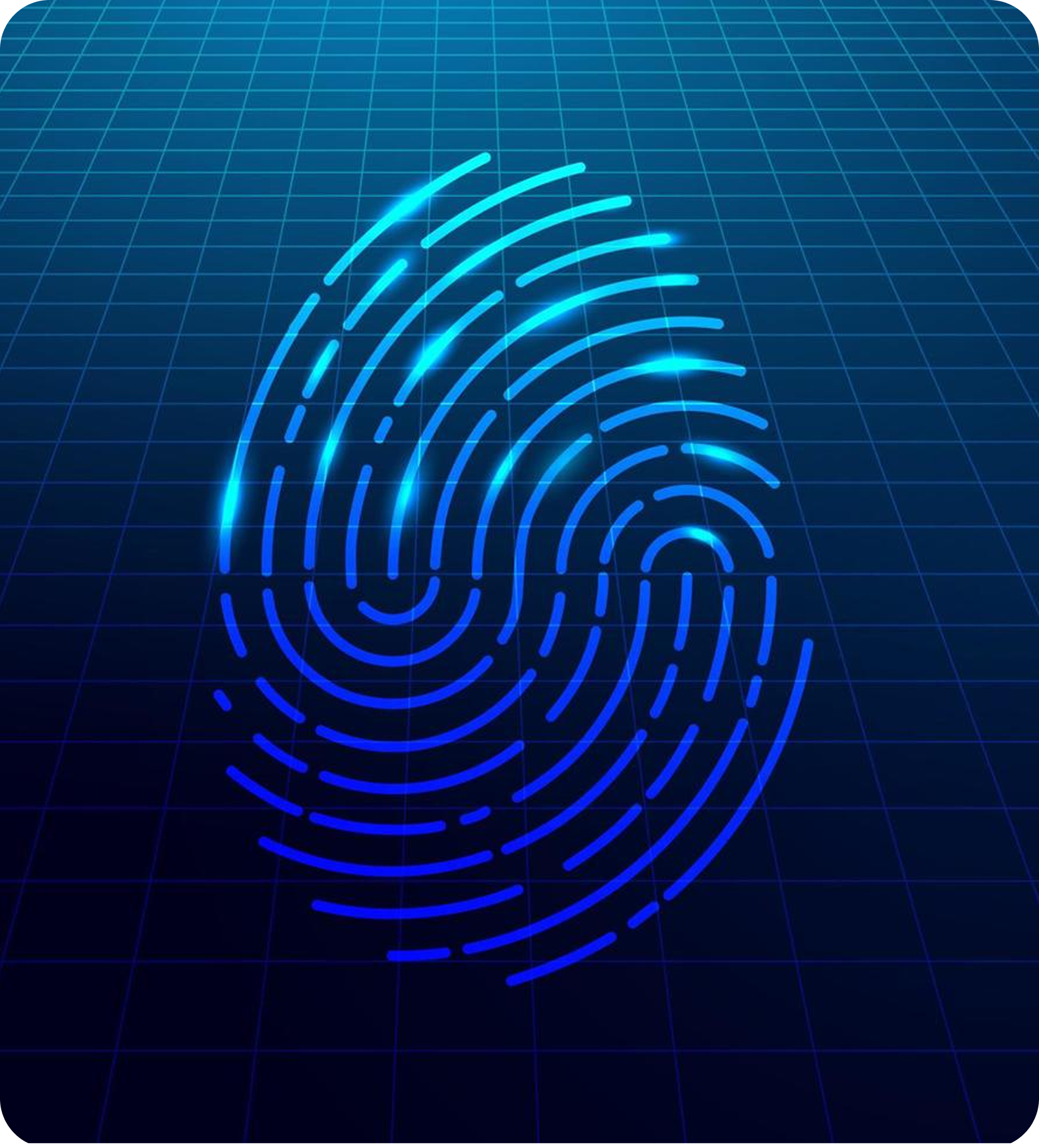 Biometric Idetification Systems