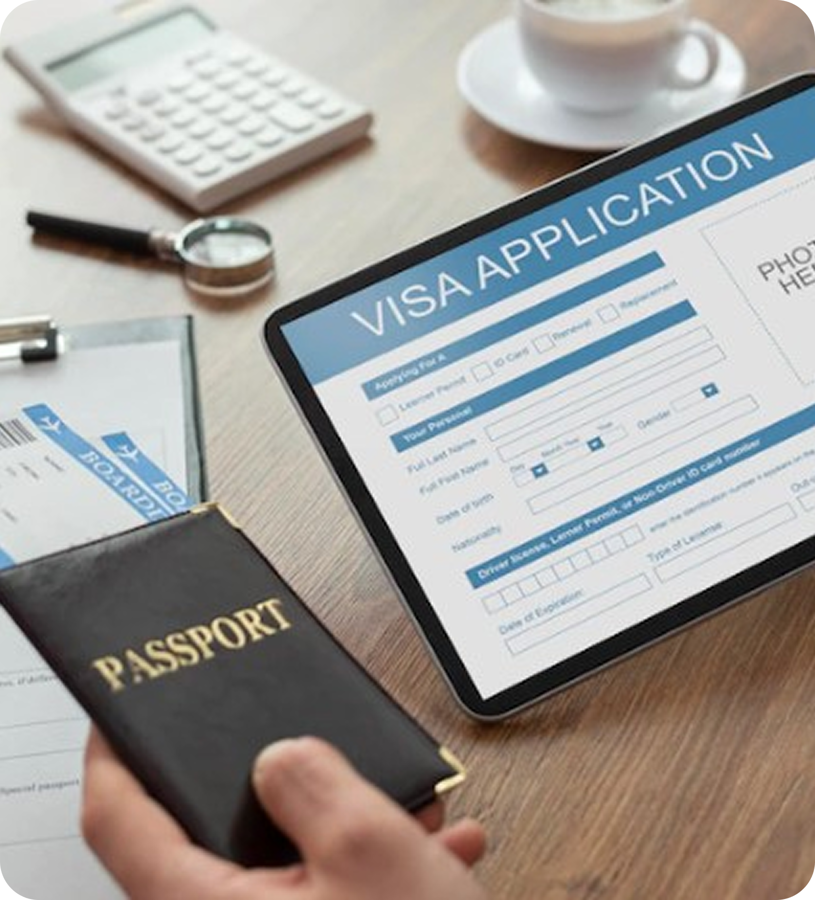Visa Management Systems